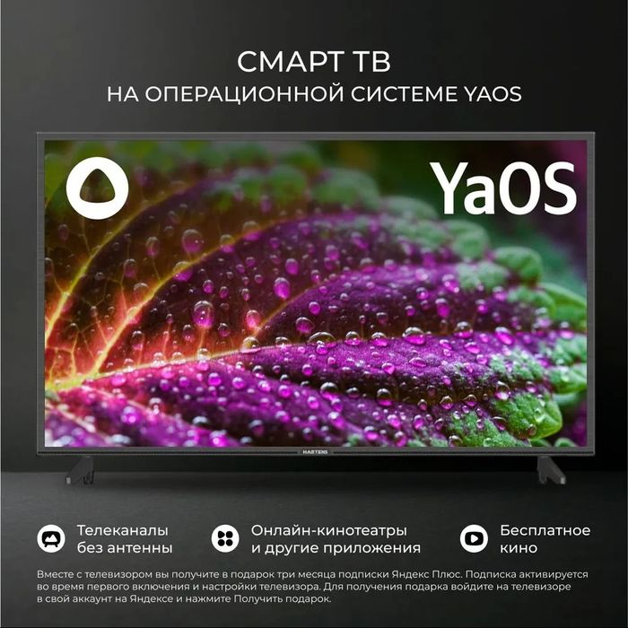Телевизор Hartens 43" HTY-43F06B-VZ/M, Full
