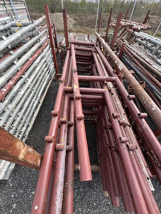 Schela ingusta 45 cm