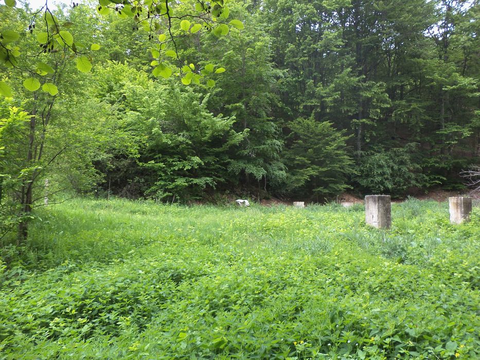 Продава се Къща в с. Бойновци, Област Габрово - 500 кв.м за 37 €/кв.м - Снимка #5