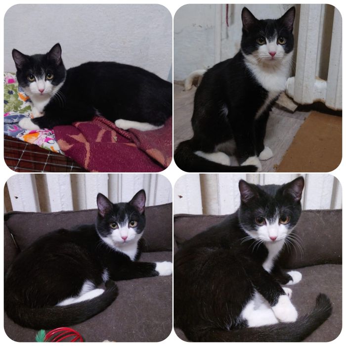 В самые добрые ручки