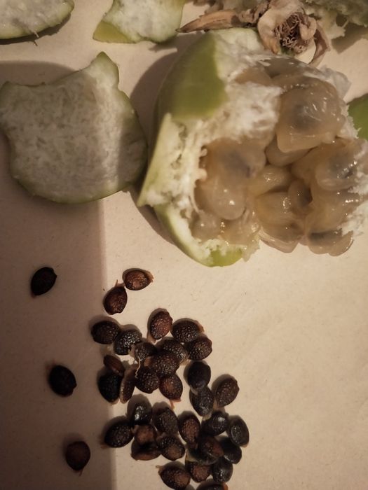 Семена маракуйи Северной