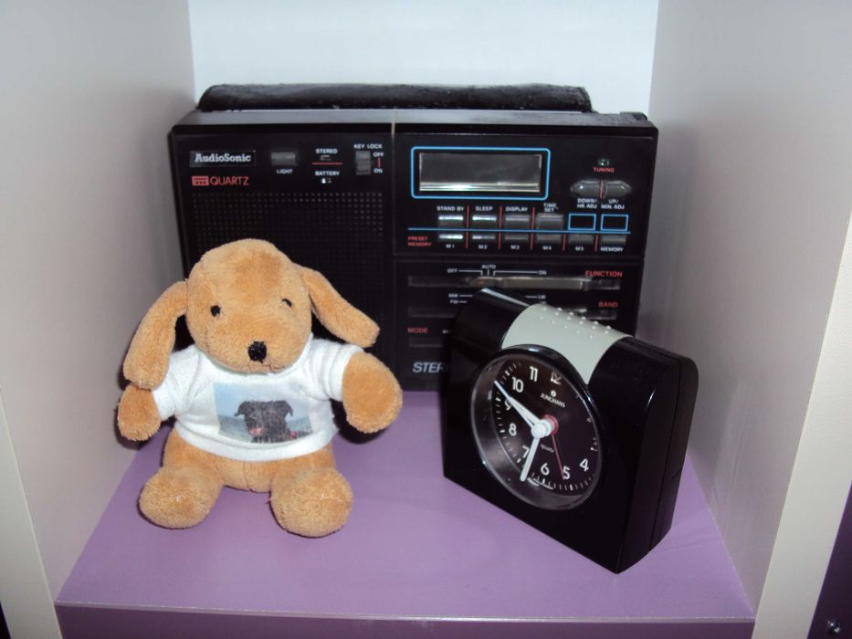 Sony Cybershot DSC-W180 10.1 MPx