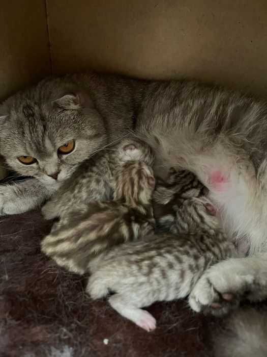 Серёжа желает познакомиться)