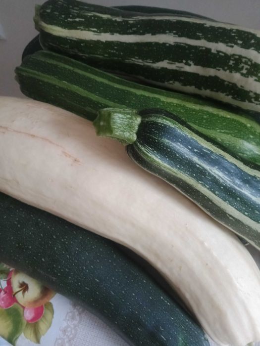 Продам дачные тыквы, кабачки