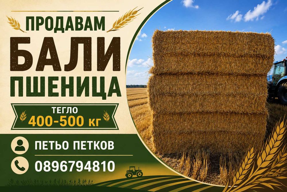 Продавам бали пшеница реколта 2026г