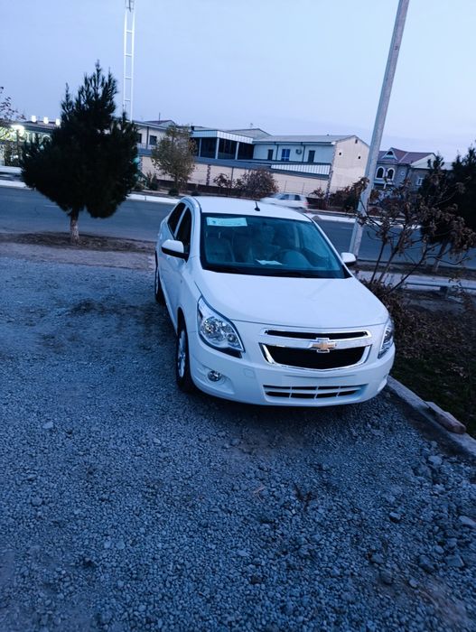 Yangi  2026 yilKoblt msm stayl  sotiladi