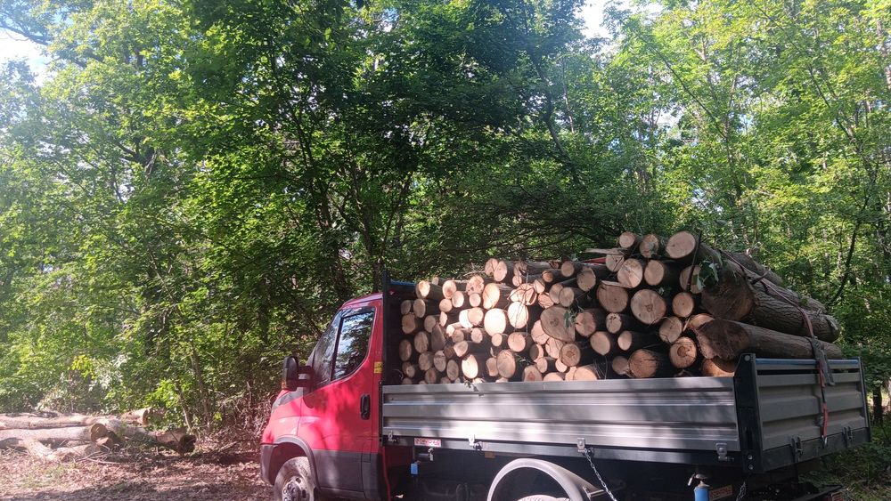 Lemne foc zona MURGENI Bârlad Vaslui