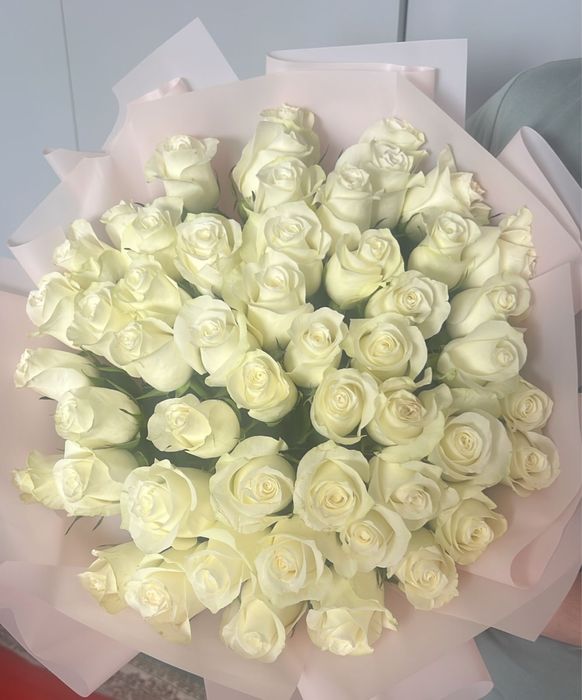 Продам 51 розу.