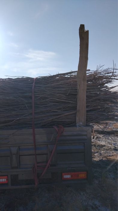 Муравей трицикл skilmax