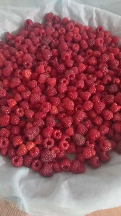 В продаже малина, сорт Шапка Мономаха