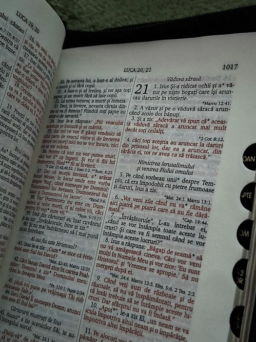Biblia mică 047 Piele naturală