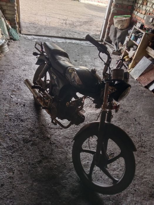 Альфа рейсер 120