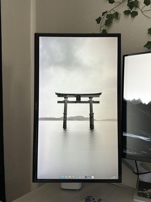 монитор Acer 75 гц