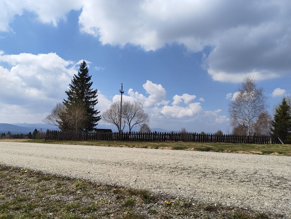 Teren plat 2.920 mp  Dealul Negru 5km de Beliș  vedere muntele Vlădeasa