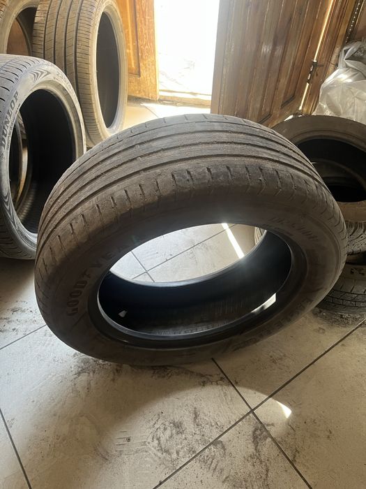 Продам ризина летный