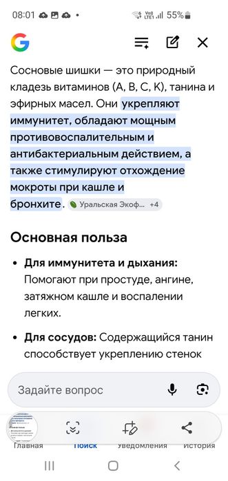 Сосна шишкалары .