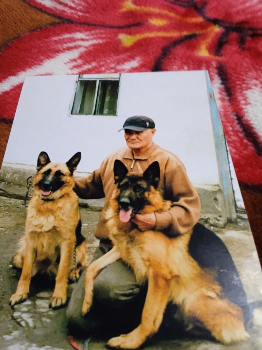 Вязка за 20 минут