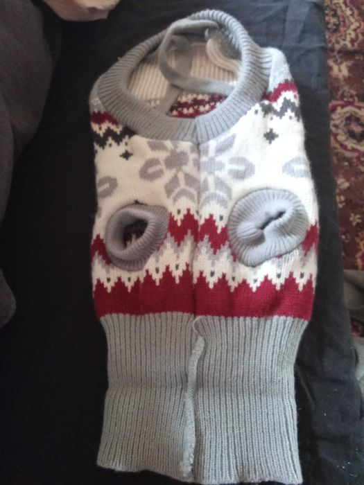 Дрехи за  средно куче