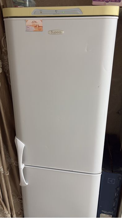 Холоденик Биюрса