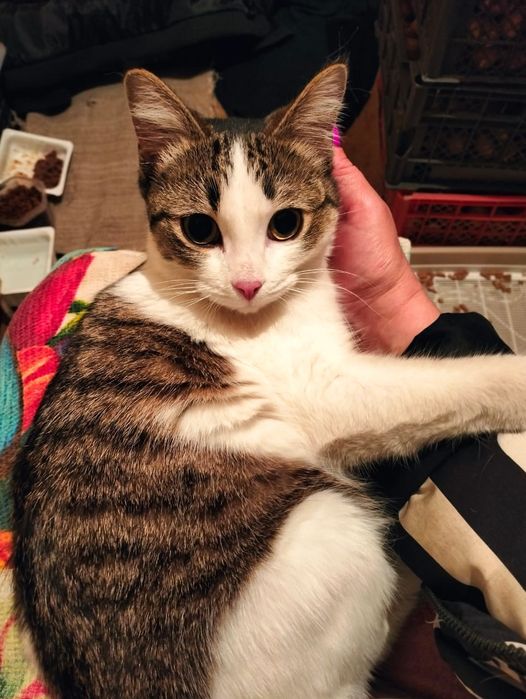 Живёт в кладовке