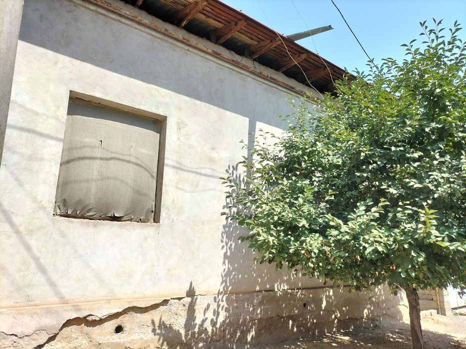 4 sotok yer uchastka.