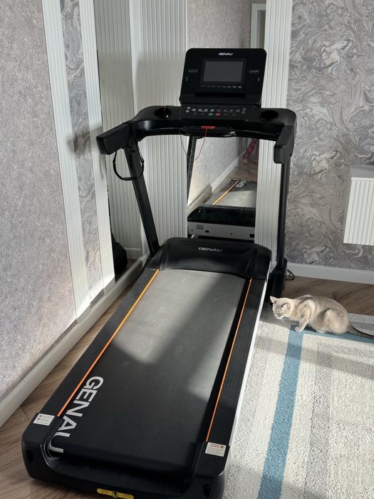 Беговая дорожка Genau crown g530