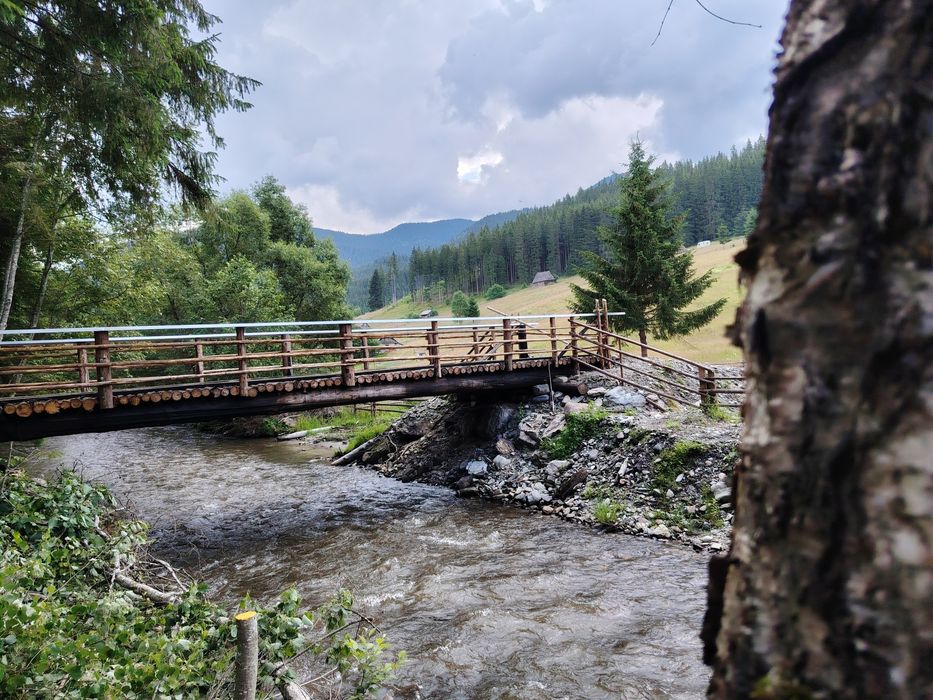 Vând teren în pădure  pt persoanele care doresc să-și construiască cabane din bușteni ,case tip hobbit ,case tradiționale sau să triască off grid..