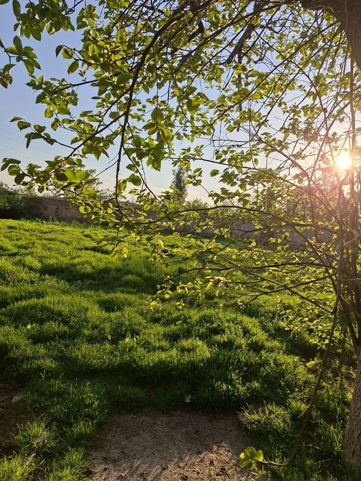 Продам дом в Селекции