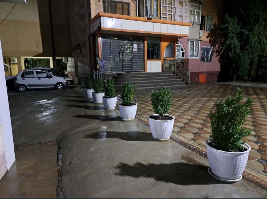 Samarqand markazida tayyor biznes – zamonaviy kafe ijaraga beriladi