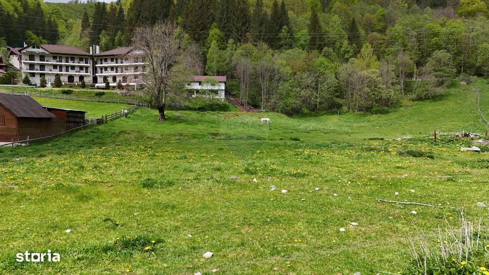 Intravilan | 10.000 mp| Sătic-Rucăr | Acces facil | Potențial excelent