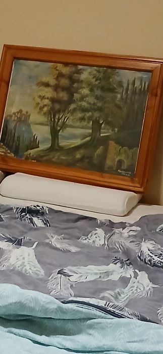 Vând tablou pictat manual dimensiunea 60/50 cm  peisaj