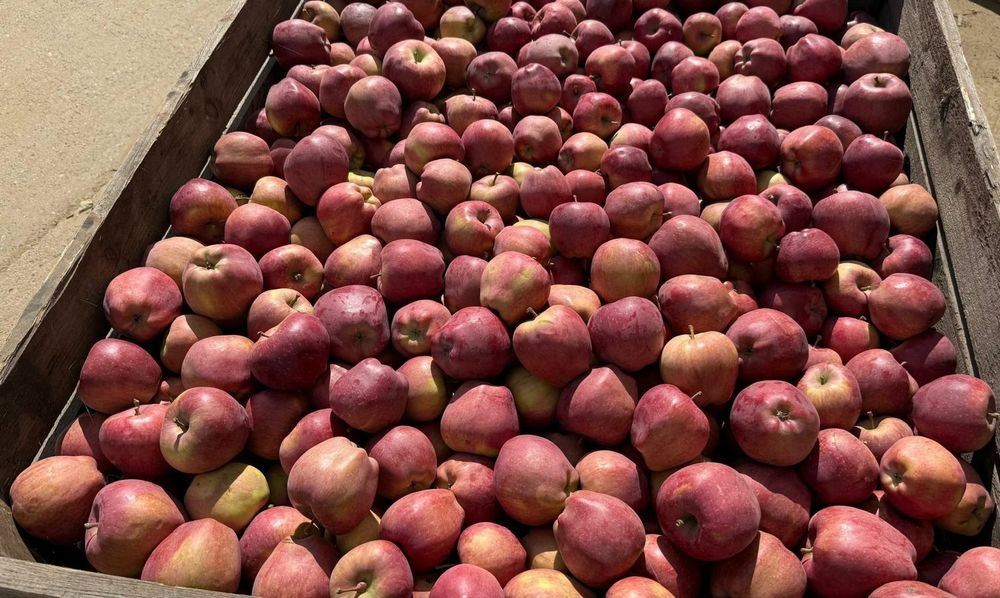 Vand mere 2.5lei/kg si pere 4 lei/kg
