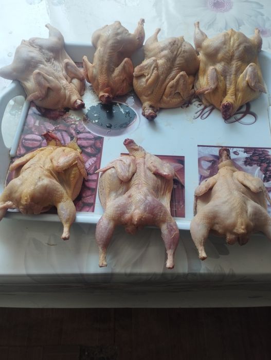 Продам мясо перепелиное