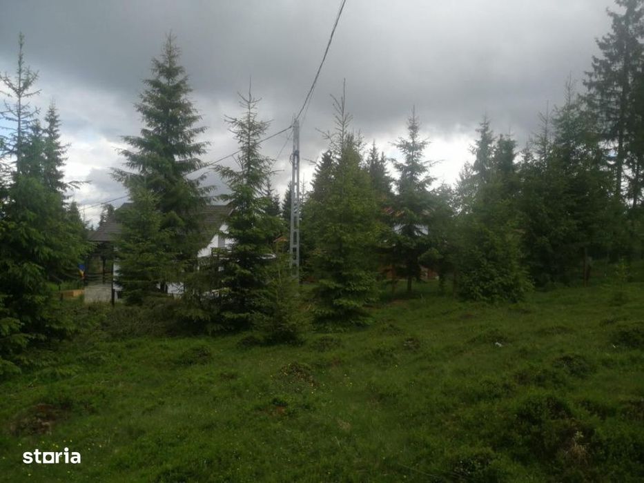 Teren de vanzare Belis1300mp Strada principala Intravilan