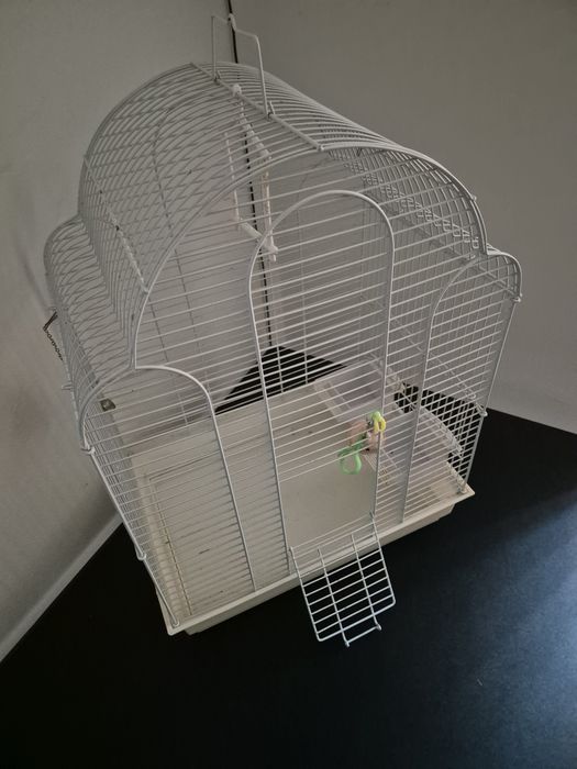 Vand colivie papagali