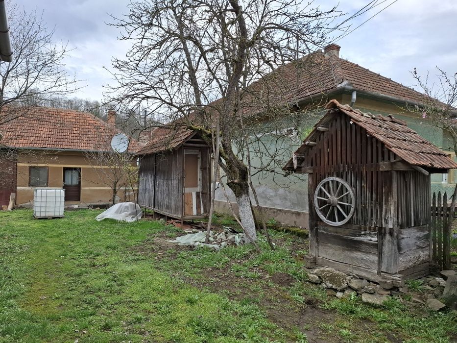 Vand casa Plescuta