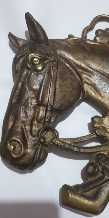 Vând  panoplie  cu  cap de cal.