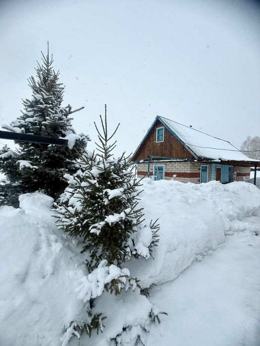 Продам кирпичный дом в селе Винное