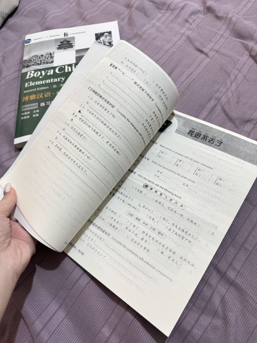 Китайские тетради Boys Chinese