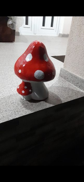 Ciuperci ornamwnt curtile