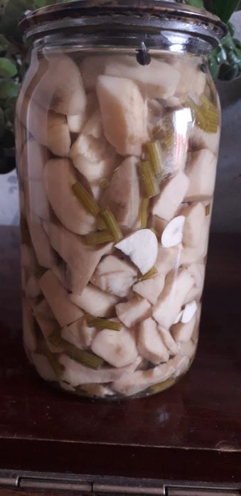 Маринованные грибы