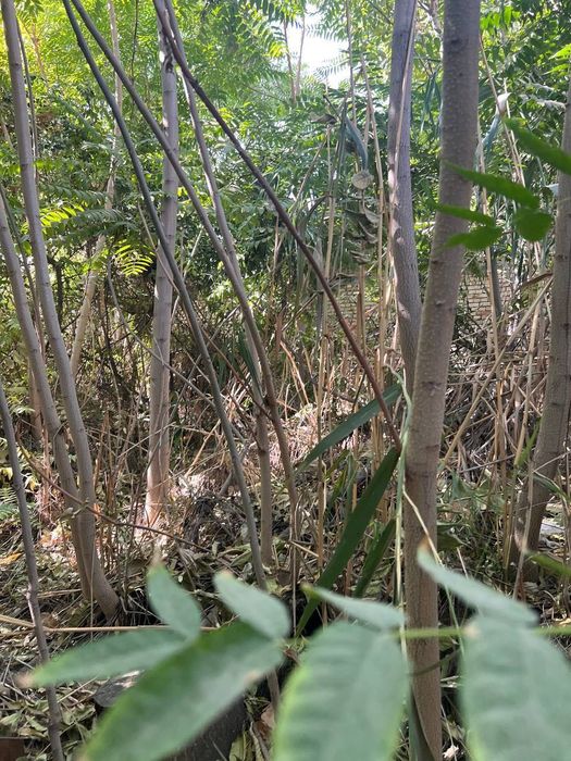 Продается земельный участок