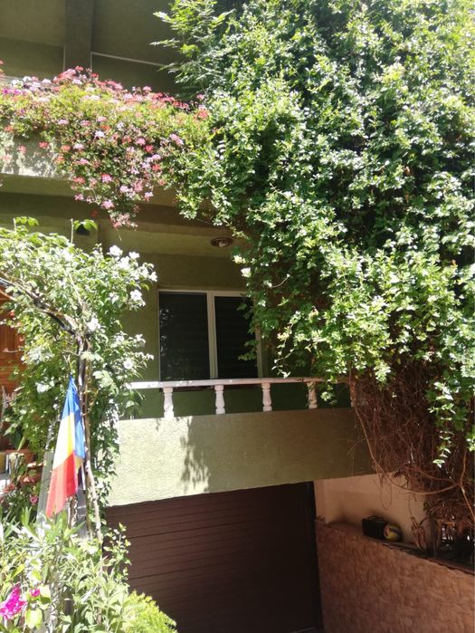 Proprietate deosebită, vila, zona Gradina Publică.