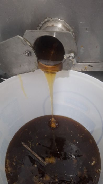 Vând miere poliflora 200 kg