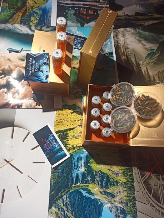 Алтын коныз Майский жук Золотой жук