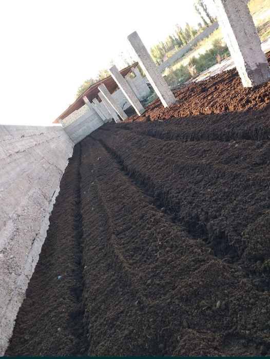 BIOGUMUS (бИОГУМУС) tabiy o'g'it