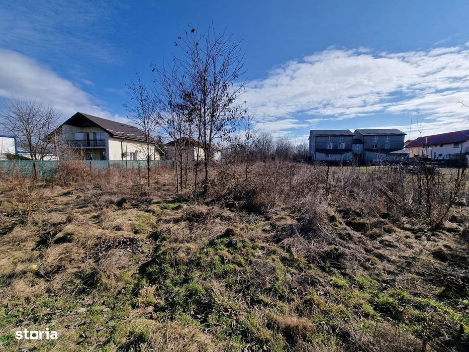 Auchan-Teren intravilan 1500mp