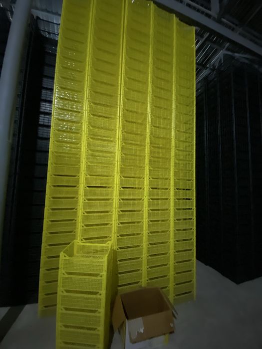 Ящики пластмассовые и деревянные новые и использованные!