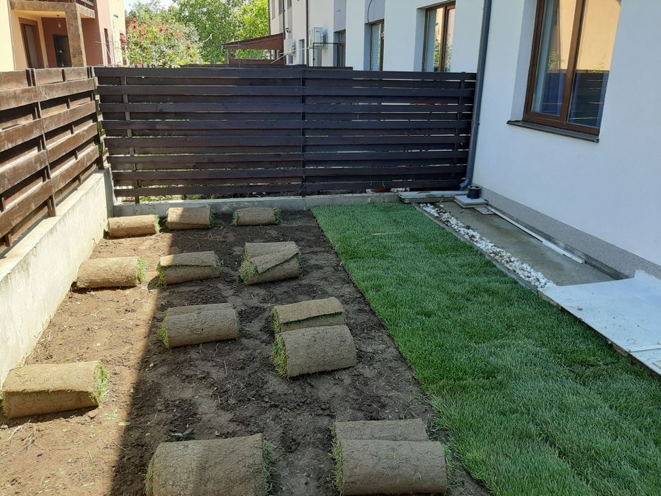 Gazon rulou,amenajari gradini