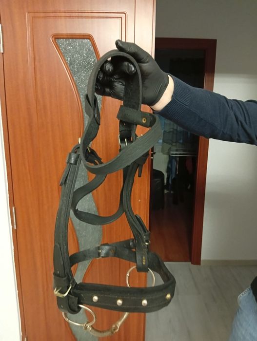 Vând accesorii calarie